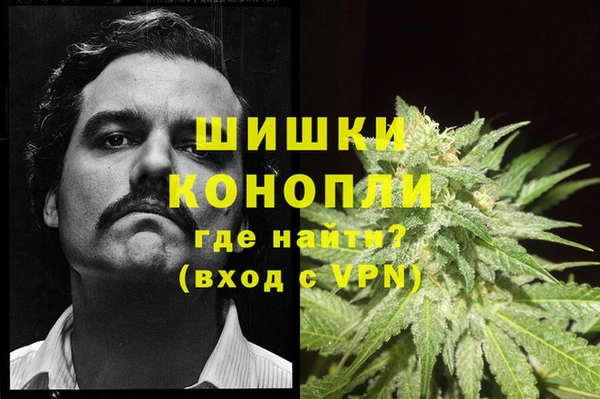 винт Алзамай