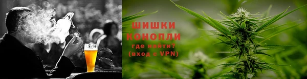 винт Алзамай